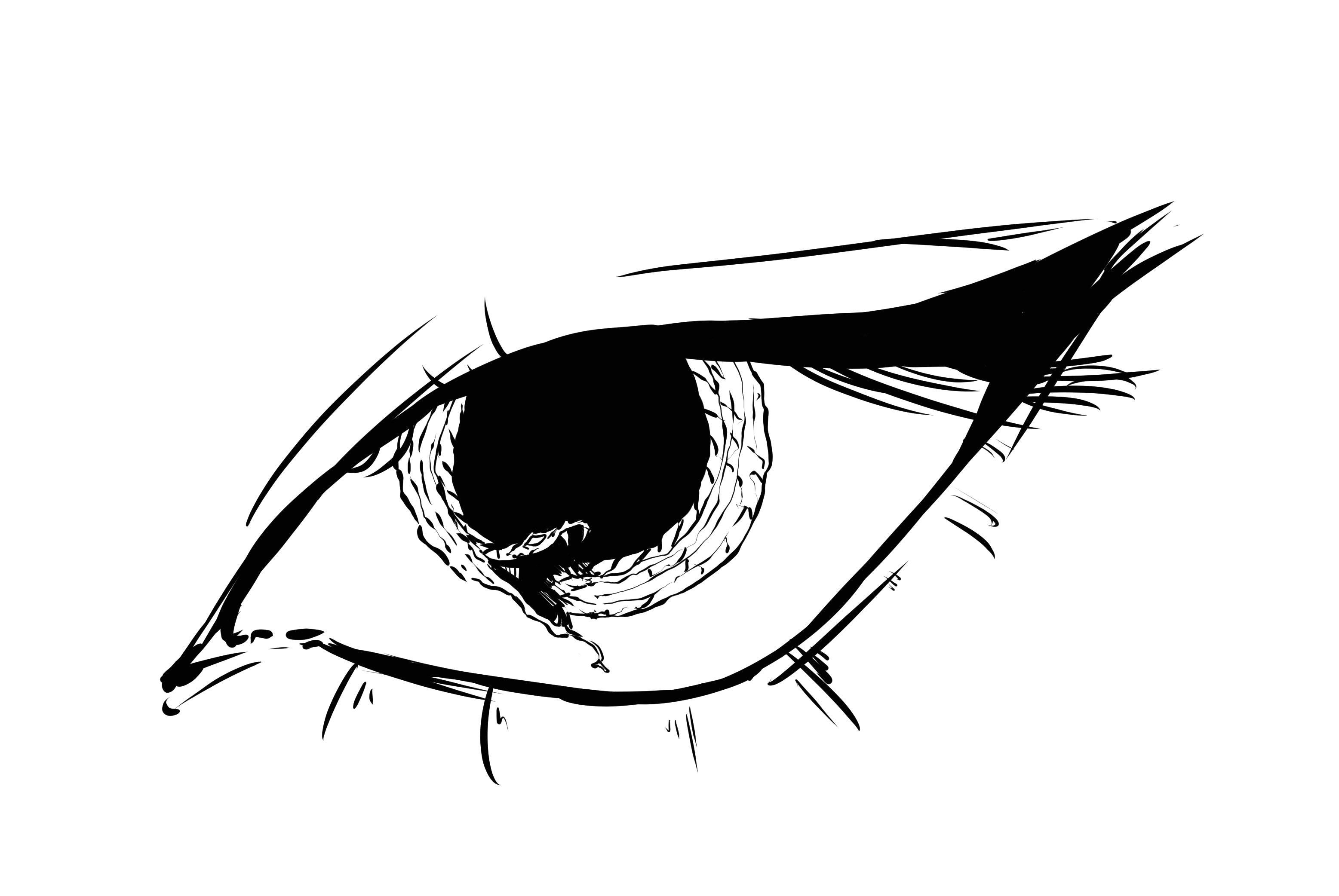 SESSION 13